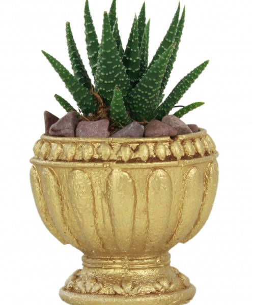 Mini Çiçek Saksı Küçük Sukulent Altın Kaktüs Saksısı Antika Vazo Model